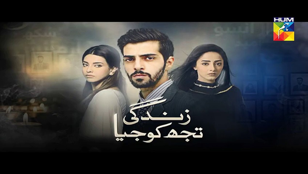 Zindagi Tujh Ko Jiya Episode 18 Promo HUM TV Drama 21 Mar 2016