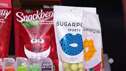 Dragons Denn ca s08e01