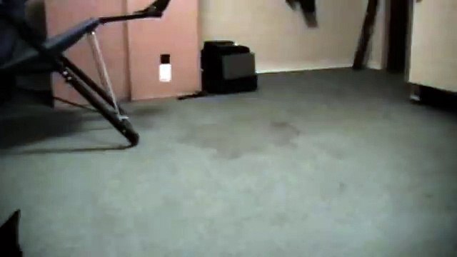 Talking Kitty Cat 3 - Kitty Bath