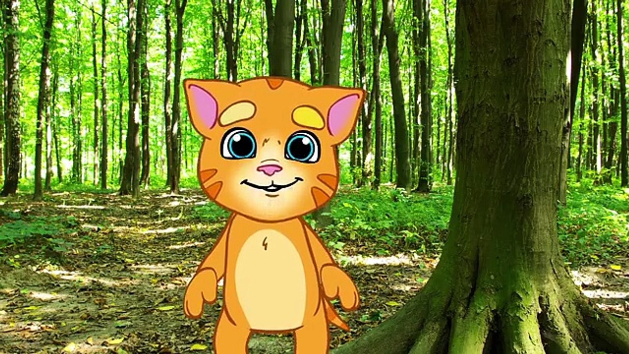 Talking Ginger’s Weird Animals