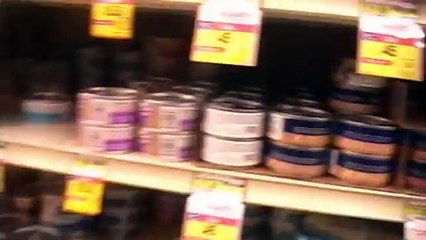 Talking Kitty Cat 10 - Help Todd