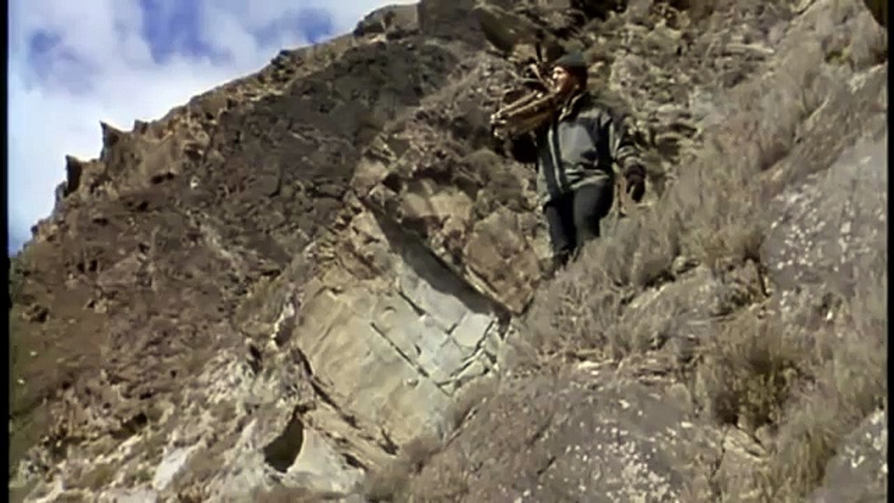 Hunting For The SNOW LEOPARD 83