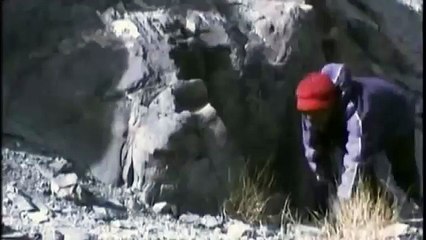 Hunting For The SNOW LEOPARD 85