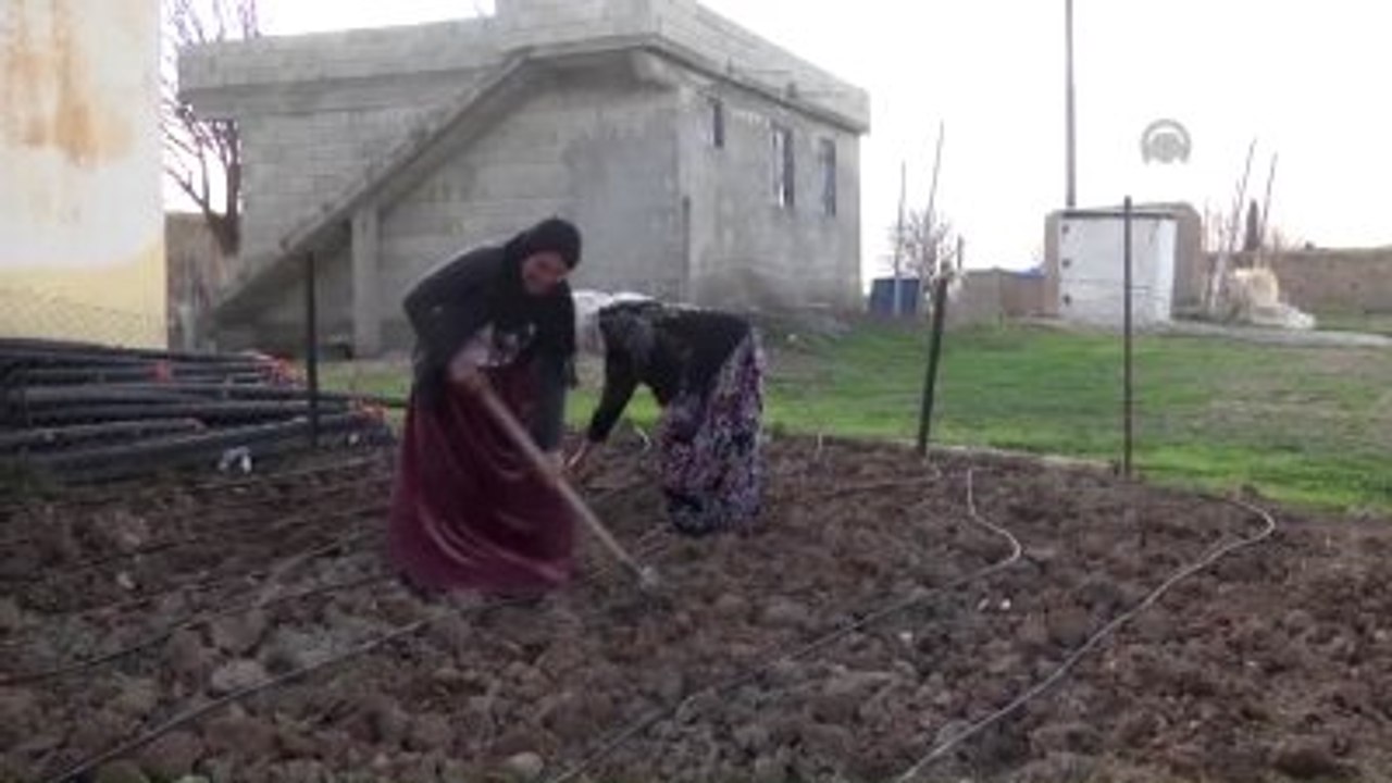 Kendin Üret Kendin Tüket Projesi" Meyvesini Verdi