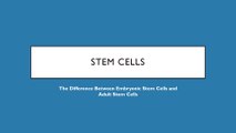 The Difference Between Embryonic Stem Cells and Adult Stem Cells