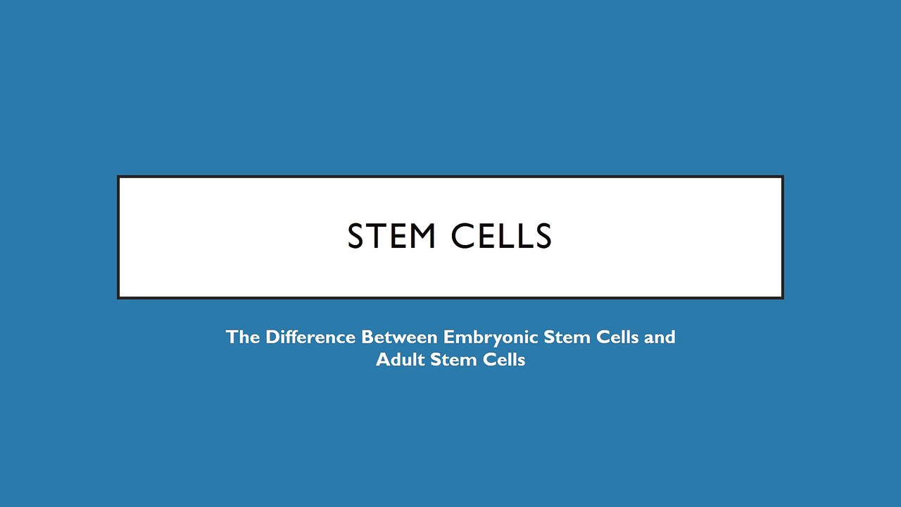 The Difference Between Embryonic Stem Cells and Adult Stem Cells
