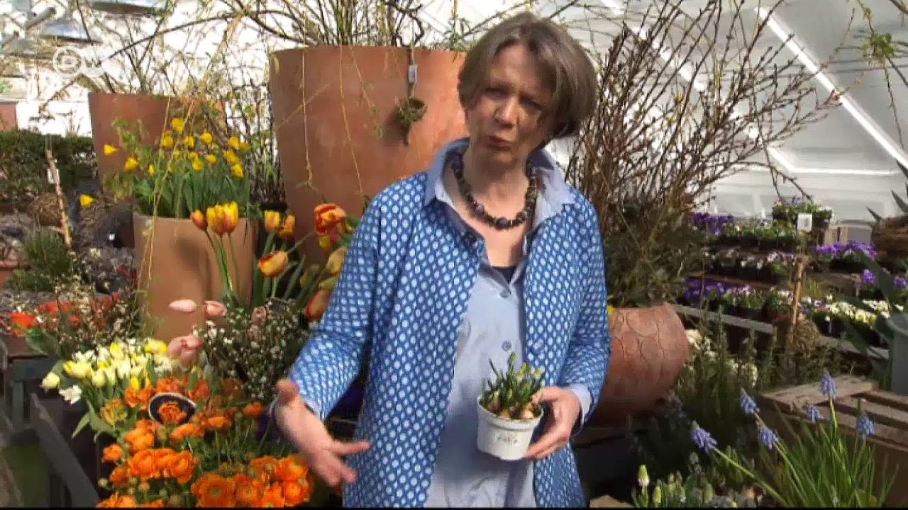 Frühlingserwachen: Gartentrends 2016 | Euromaxx