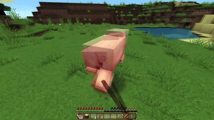 vanilla minecraft speedrun ep1
