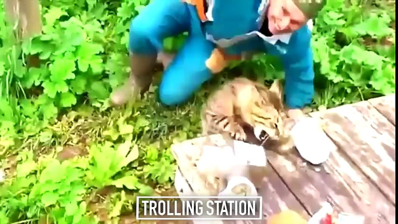 Funny Videos ★ Best Funny Fail Compilation ★ Funny Videos 2016 - YouTube