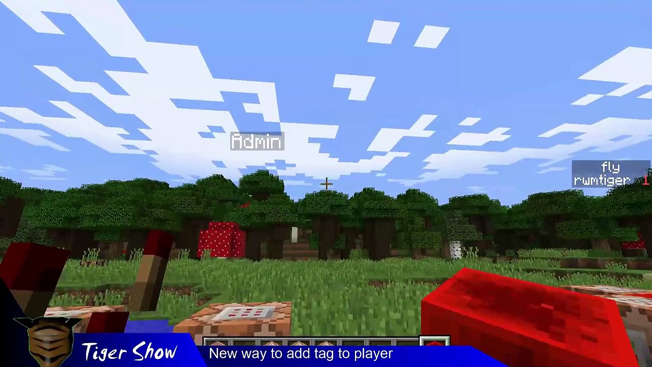 Minecraft: no plugin with I AM AWESOME tag over my head