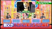 世界が驚いたニッポン!スゴ～イデスネ!!視察団　2016年3月26日　#1