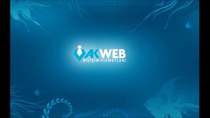 SEO Hosting Firmaları