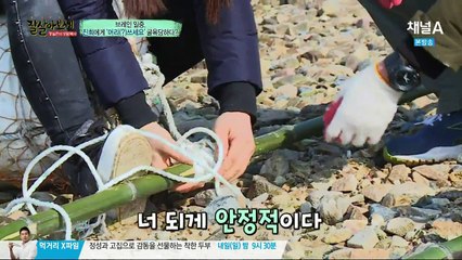통일준비 생활백서 잘 살아보세.E54.160326.HD-1