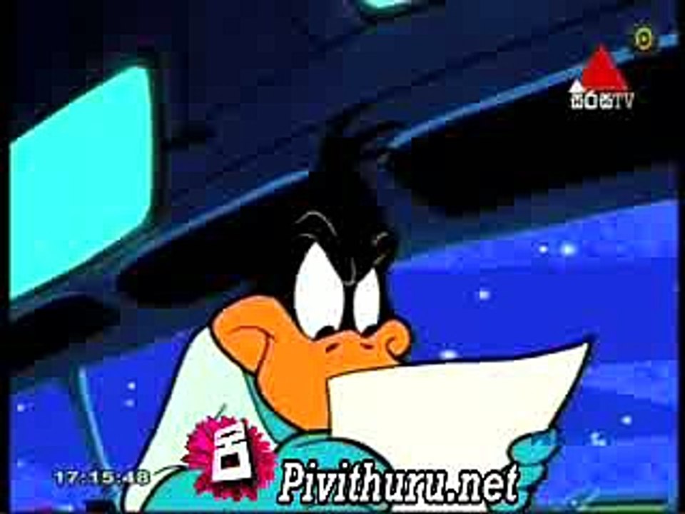 duck  25.03.2016