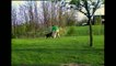This Dog Chasing His Owner With A Hose Is The Funniest Thing You'll See Today