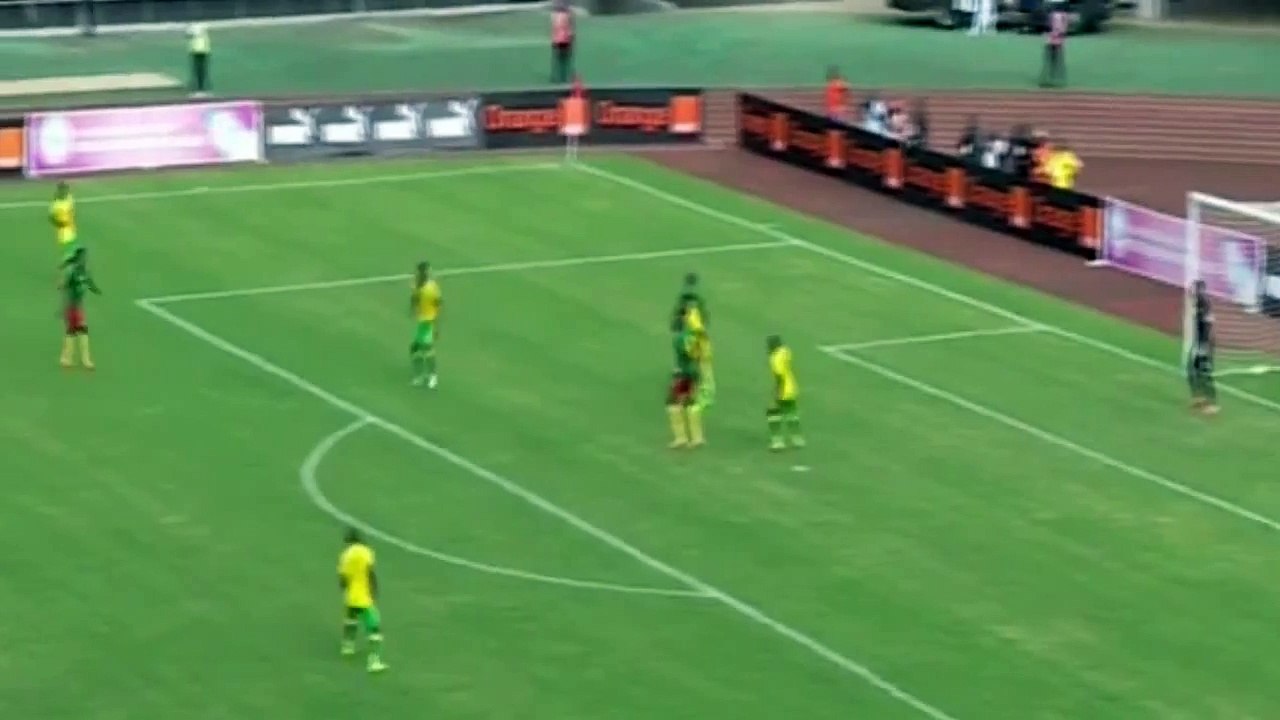Cameroon 1 - 1 South Africa  Sebastien Bassong Goal  26-03-2016  HD