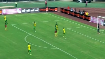 Cameroon 1 - 1 South Africa  Sebastien Bassong Goal  26-03-2016  HD