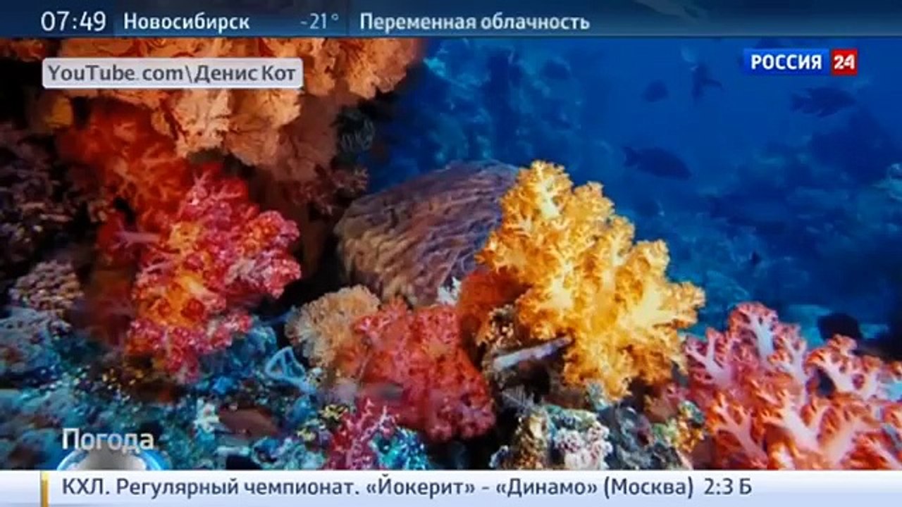 Как влияет глобальное потепление на Мировой океан