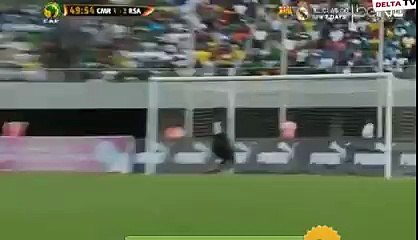 Cameroon vs South Africa 1-2 Clayton Daniels Amazing Goal  26-03-2016