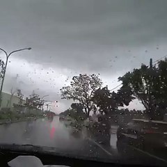 Holy cow!! What just happened here!