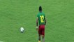 Nicolas N'Koulou Goal Cameroon 2 - 2 South Africa 26-3-2016