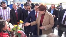 Tokat - Meral Akşener'e Tokat'ta Coşkulu Karşılama