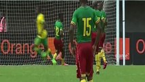 Cameroon vs South Africa 2-2 All Goals & Highlights 26-03-2016 HD