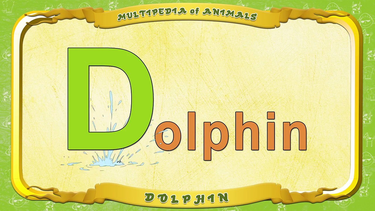 Multipedia of Animals Letter D Dolphin