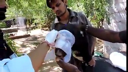 وہ اللہ ہی ہے جو سب سے بہترین پیدا کرنے والا ہے، کبھی آپنے م