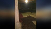 8 Really Creepy Secret Rooms Found In Houses Mr Nightmare