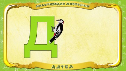 Мультипедия животных Буква Д Дятел