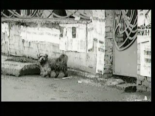 Монгол Шуудан - Москва (Official video) (explicit version)-S3i1tsP8guw-SD