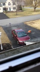 Des gamins dessinent à la craie sur le bitûme surpris par une caméra