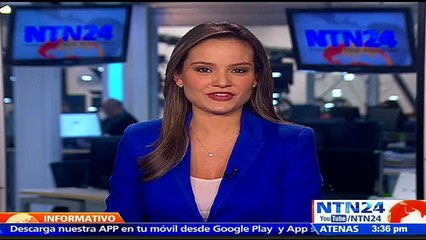 Birdie Sanders, el ave que irrumpió en mitin del demócrata y causó furor en las redes sociales