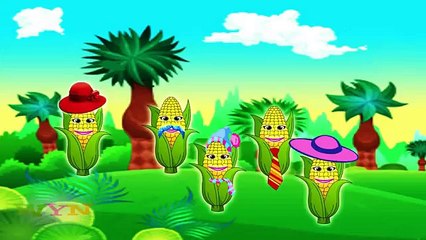 Corn Finger Family - The Finger Family Daddy Finger Nursery Rhyme - Funny Baby Rhymes