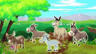 Donkey Finger Family 3D - Animated Finger Family Songs - Funny Kids Rhymes