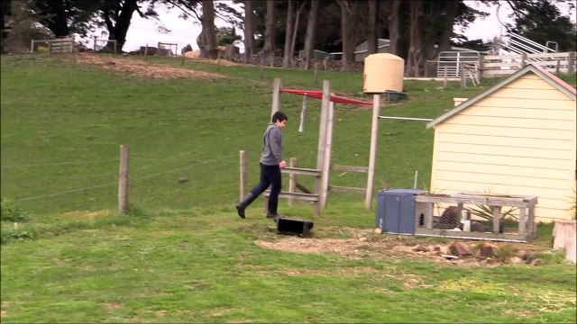 Flying the WLtoys F959