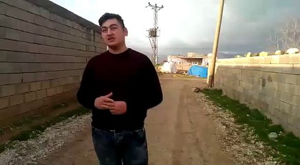 en komik videolar vine