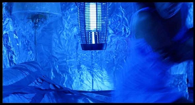 La RFID est le groupe BILDERBERG!