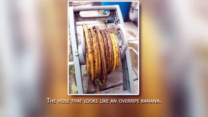 20 Things That Are Hilariously Similar To Other Things