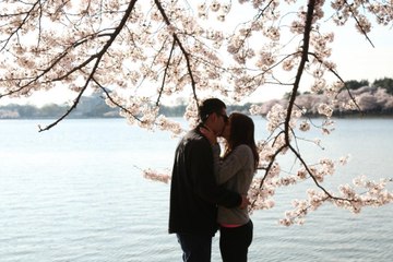 Couple gets engaged at Washington’s Cherry Blossom Festival