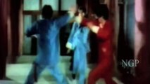 Kickass Kung Fu Action Fight Scene - Must Watch!!