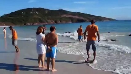 Он просто снимал море и пляж, как вдруг случилось нечто немыслимое