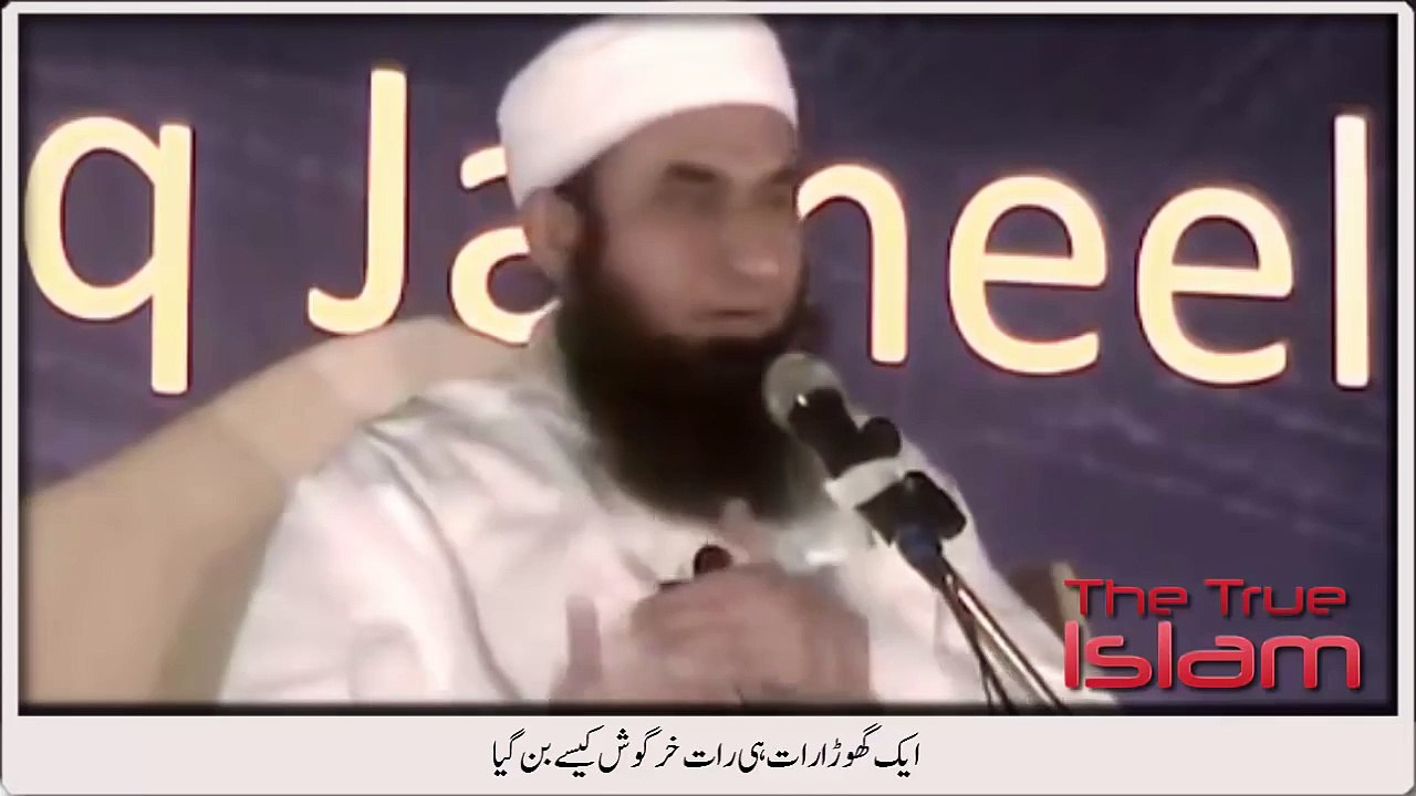 How a horse became rabbit overnight _ Comedy by Maulana Tariq Jameel