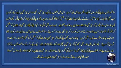 Main apne baap dada ka mazhab nahi choroon ga - Worth watching bayan by Maulana Tariq Jameel