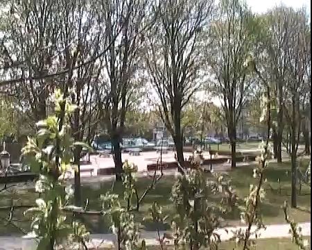 Paray-Vieille-Poste. Coulée verte silencieuse pendant l'éruption du volcan Eyjafjallajökull