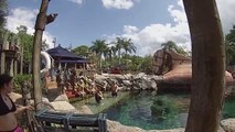 Typhoon Lagoon - Shark Reef at Disney World, Orlando, Florida