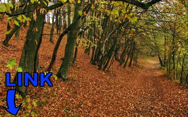 Download Spintires steam key generator