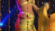 Egyptian Bellydancer Sahar Performence VIII