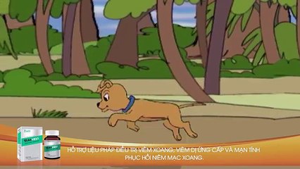 Khoảnh khắc kỳ diệu | Ngôi nhà gương | Full HD